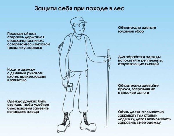 photo_2026-03-23_15-24-51